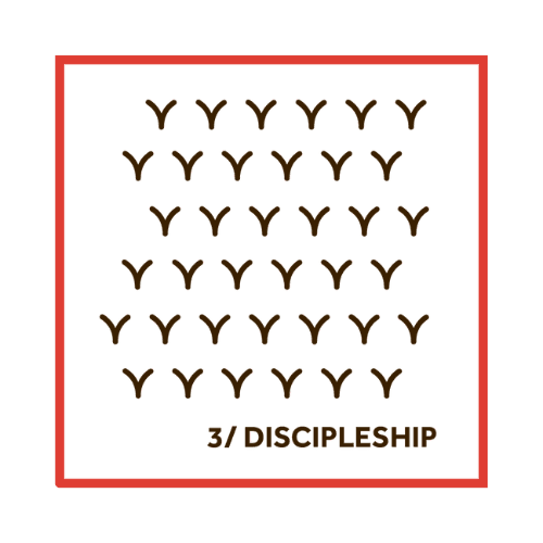 Discipleship